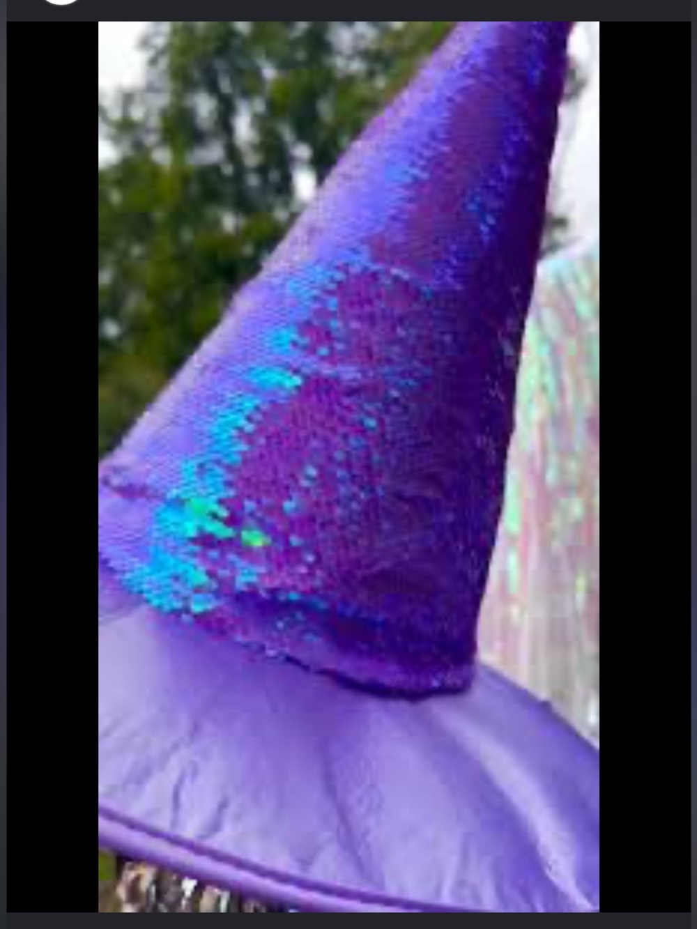 Hyde and EEK! Purple Sequin Witch Hat